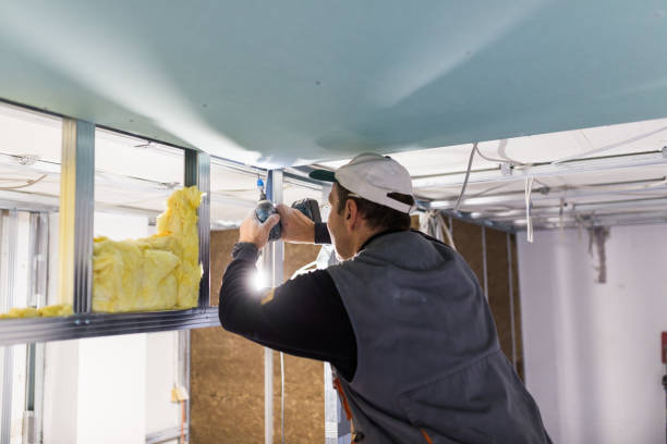 Best Insulation Installation Services in Centrevle, IL