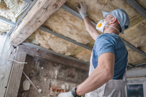 Best Insulation Installation Services in Centrevle, IL